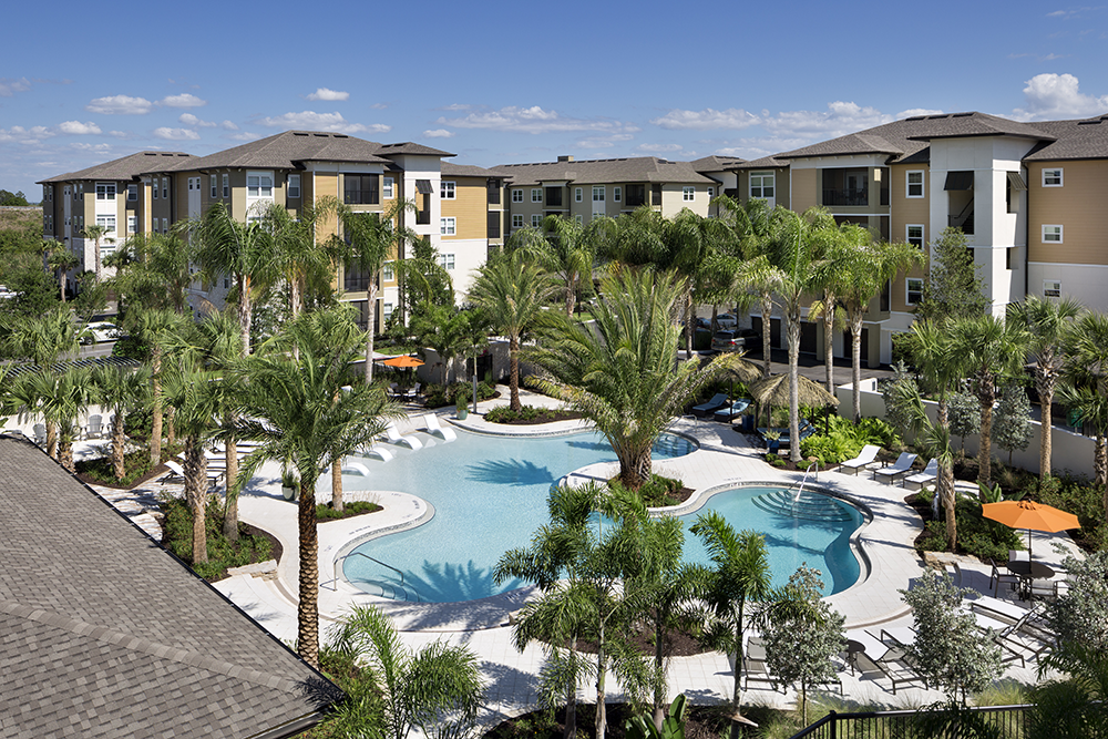 Arbor and Tree Care for Healthy Trees