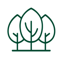 Certified arborist from United Land Services performing a health assessment on a mature tree in a commercial landscape