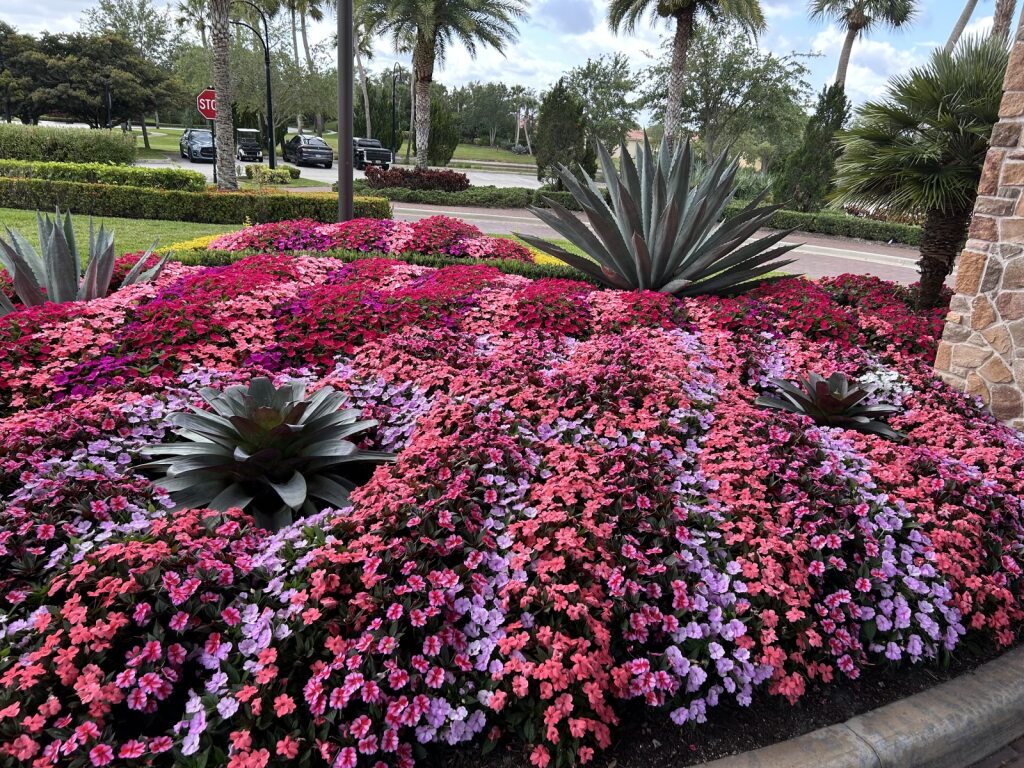 PGA Village Verano: The Ultimate Golf Experience