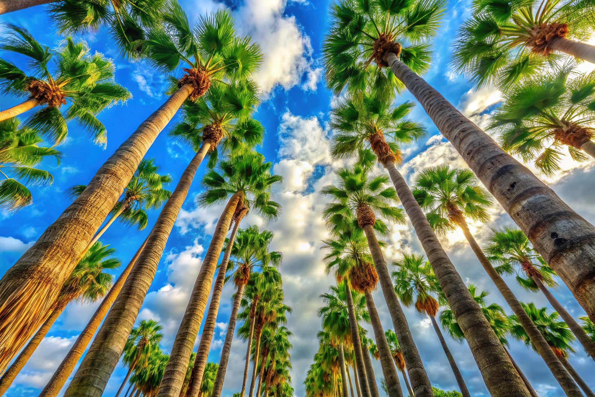 Image showing the science of tree nutrition, highlighting soil, roots, and nutrient absorption in trees.